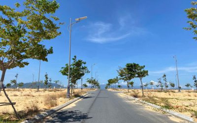 Hình ảnh thực tế dự án
